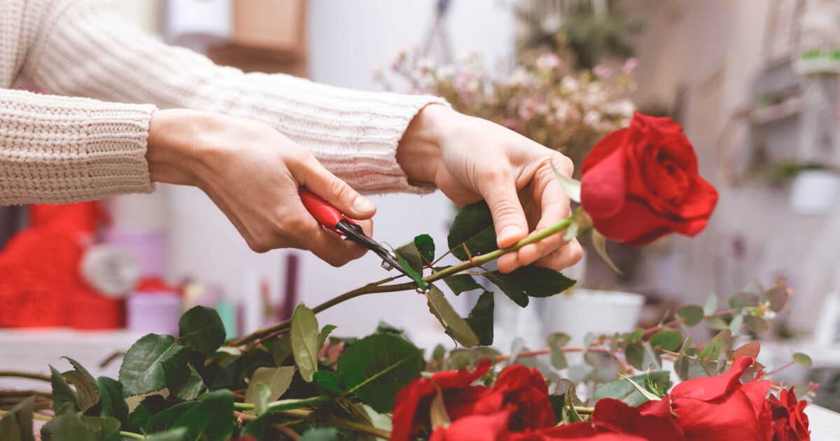 Fleurs pour les sensibles : un bouquet en toute sérénité