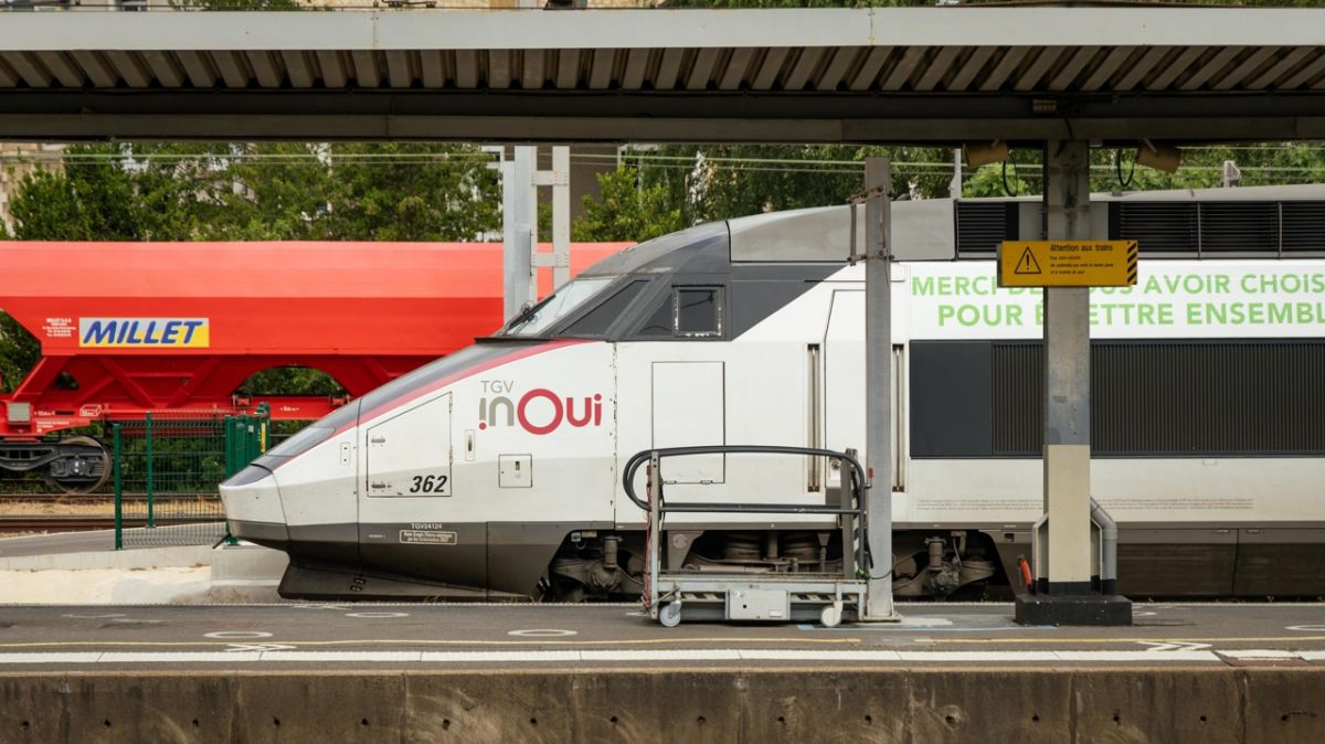 Une mère condamnée pour des violences inacceptables dans un TGV