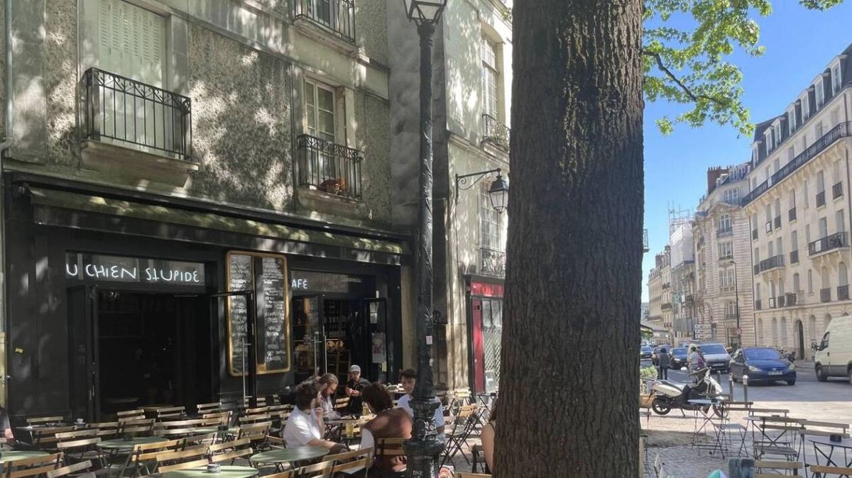 À la découverte du Chien Stupide : le nouveau patron face aux controverses