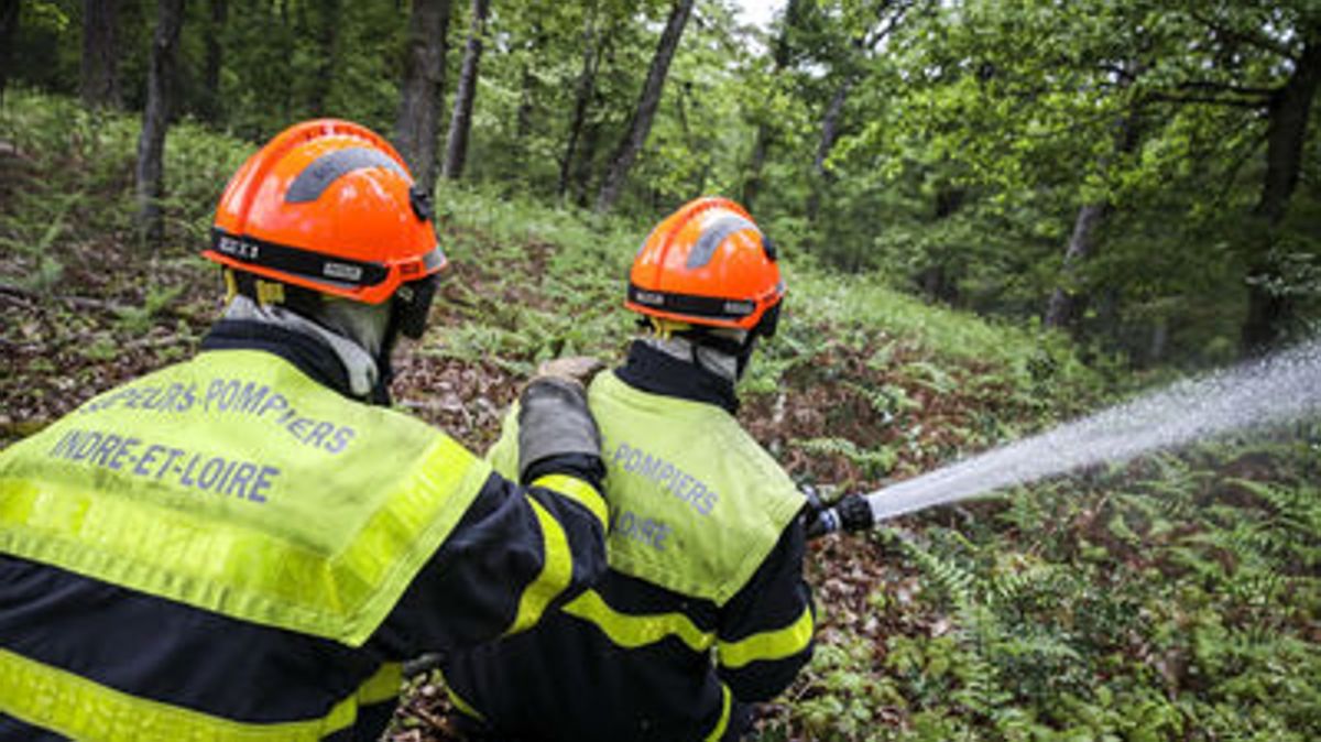 Un pompier condamné pour avoir déclenché des incendies près de Chinon