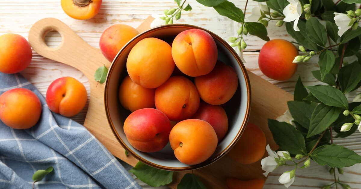 Comment conserver les abricots et éviter le gâchis ?