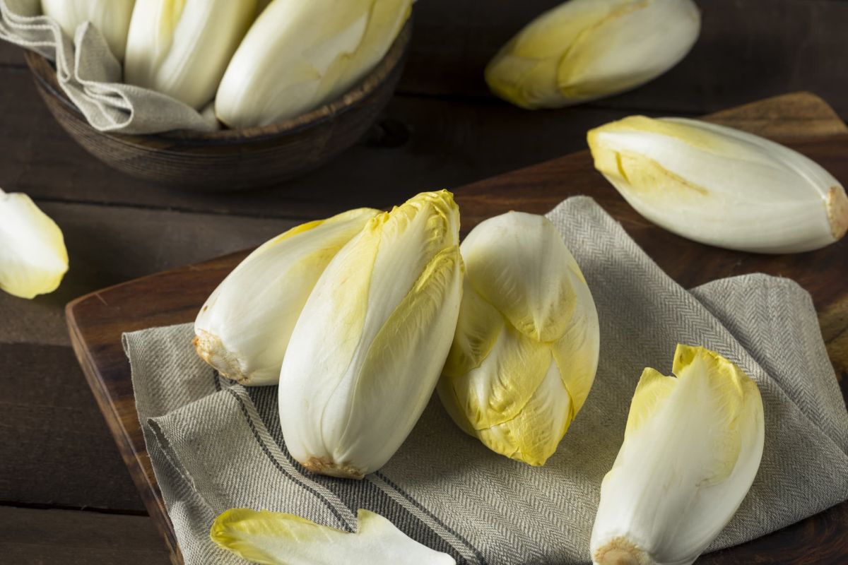 Réinventez le gratin d'endives avec une salade tiède délicieusement colorée