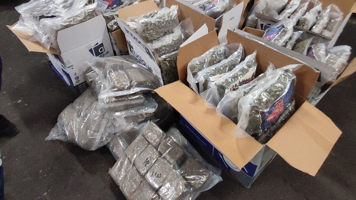 Un important coup de filet des douanes à Millau : 247 kilos de cannabis saisis