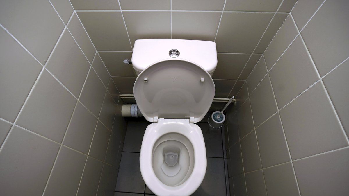 Licencié pour ses pauses toilettes : un ingénieur défend son droit à la santé