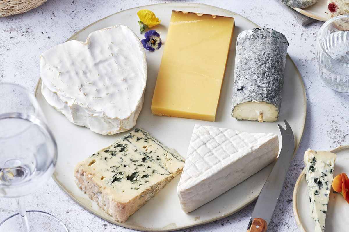 Secrets d'un plateau de fromages réussi : l'art de la dégustation