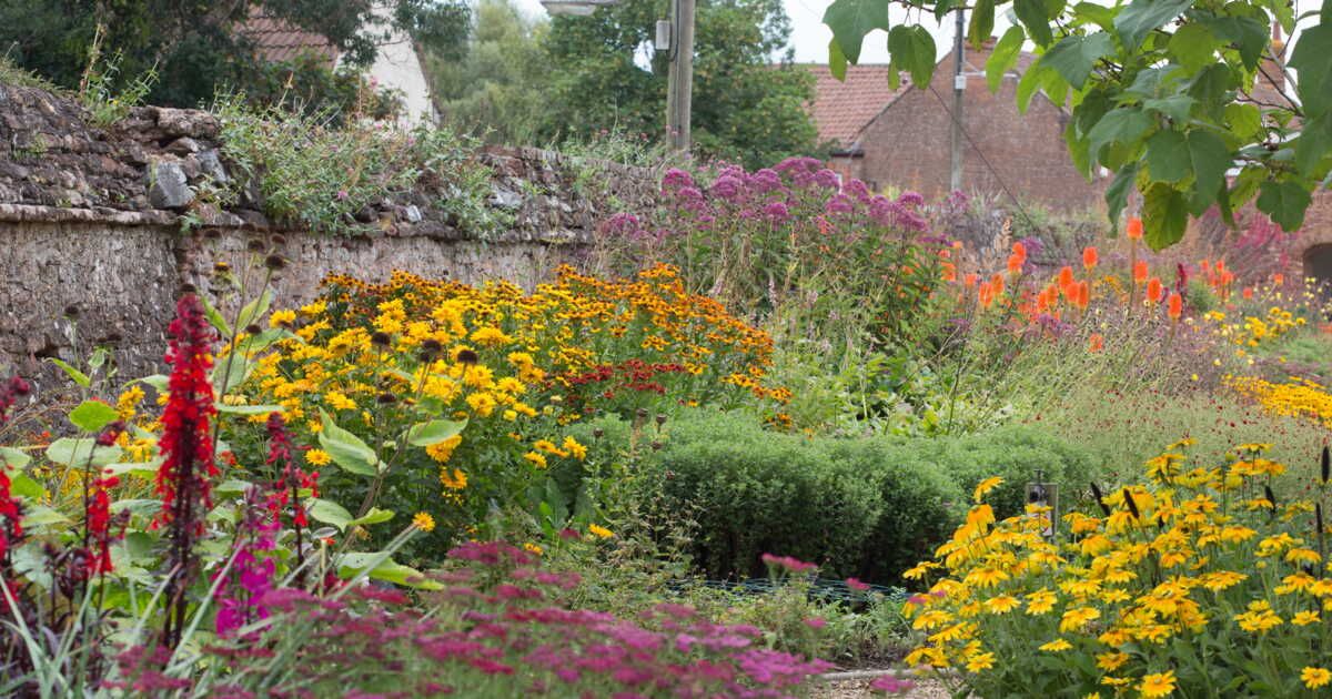 Attirer les abeilles : un jardin florissant