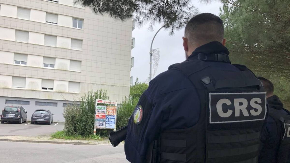 Lutte acharnée contre le narcotrafic : Nantes au cœur d'opérations audacieuses