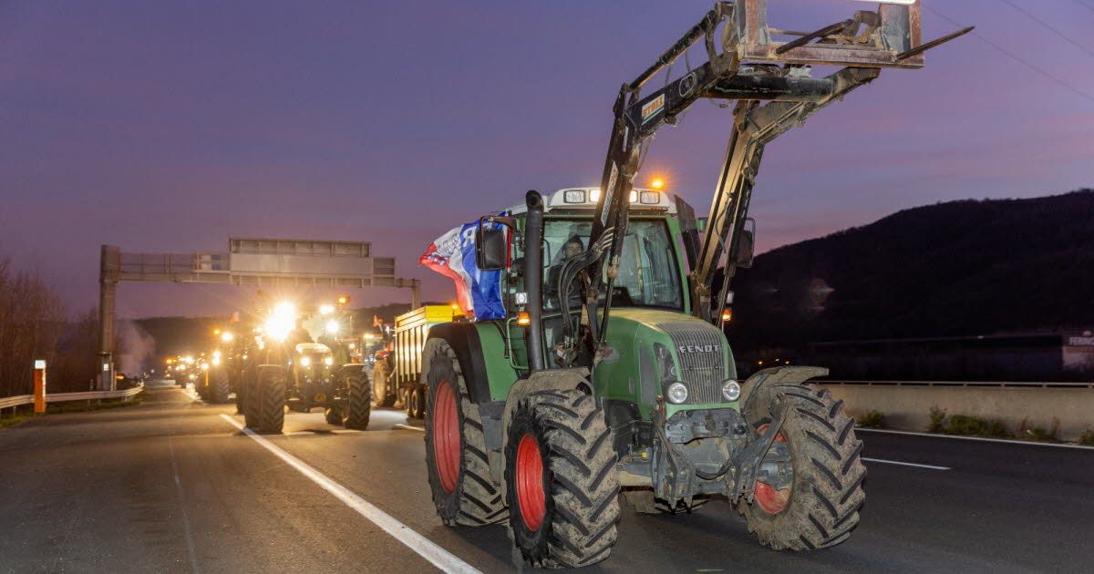 Mobilisation agricole à Voreppe : un appel à la solidarité face aux abattages
