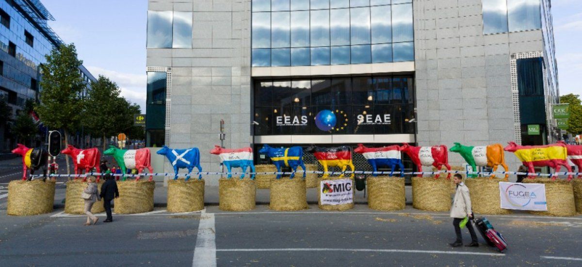 Mobilisation des agriculteurs : Bruxelles s'apprête à vibrer au rythme des tracteurs