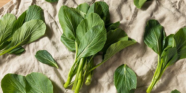 Le brocoli chinois : un trésor de saveurs et de bienfaits