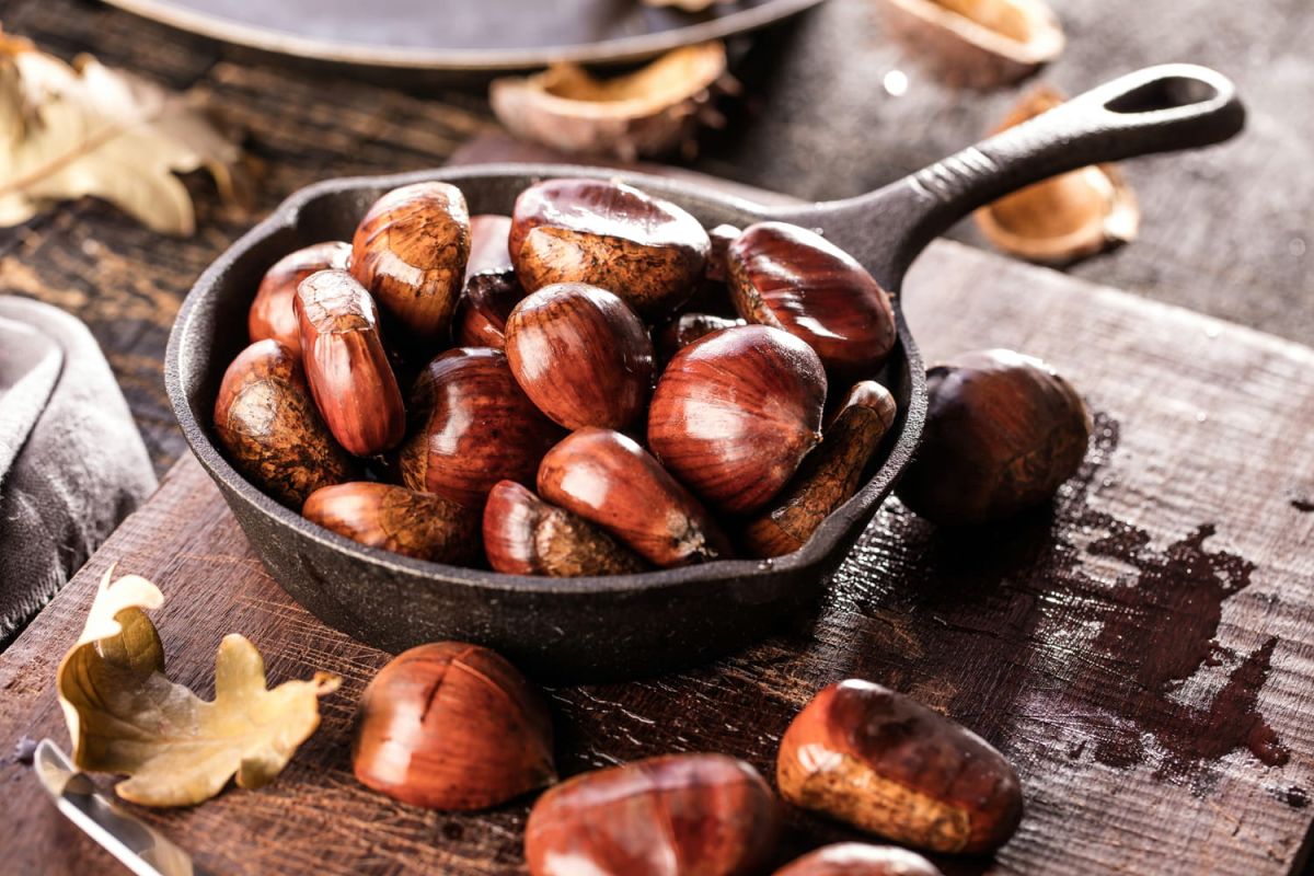 La châtaigne : votre alliée pour un hiver savoureux