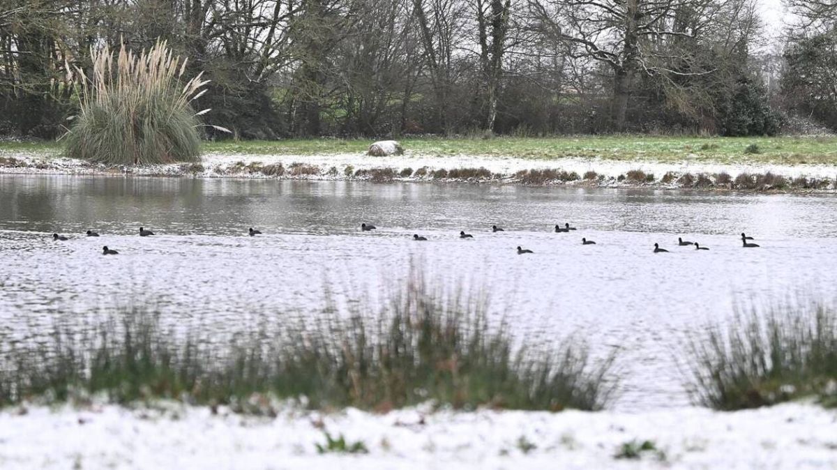 L'Ouest de la France s'éveille sous un manteau blanc pour Noël