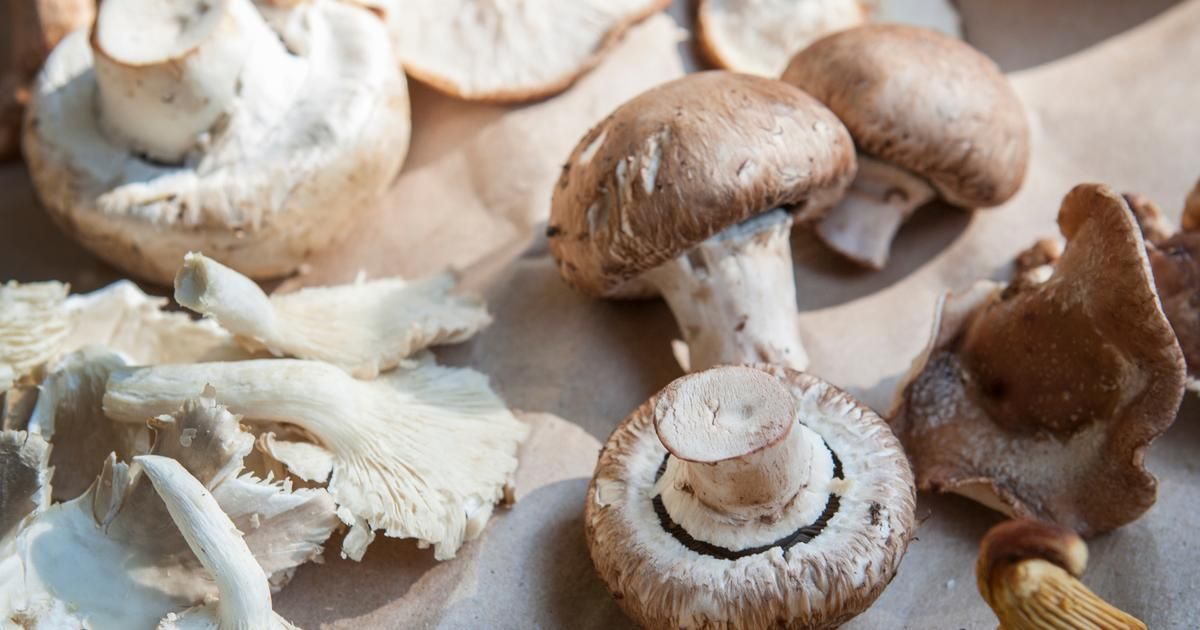Les secrets pour savourer les champignons comme un pro