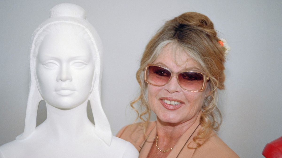 Brigitte Bardot : une icône du cinéma dont la vie fascinante s'éteint