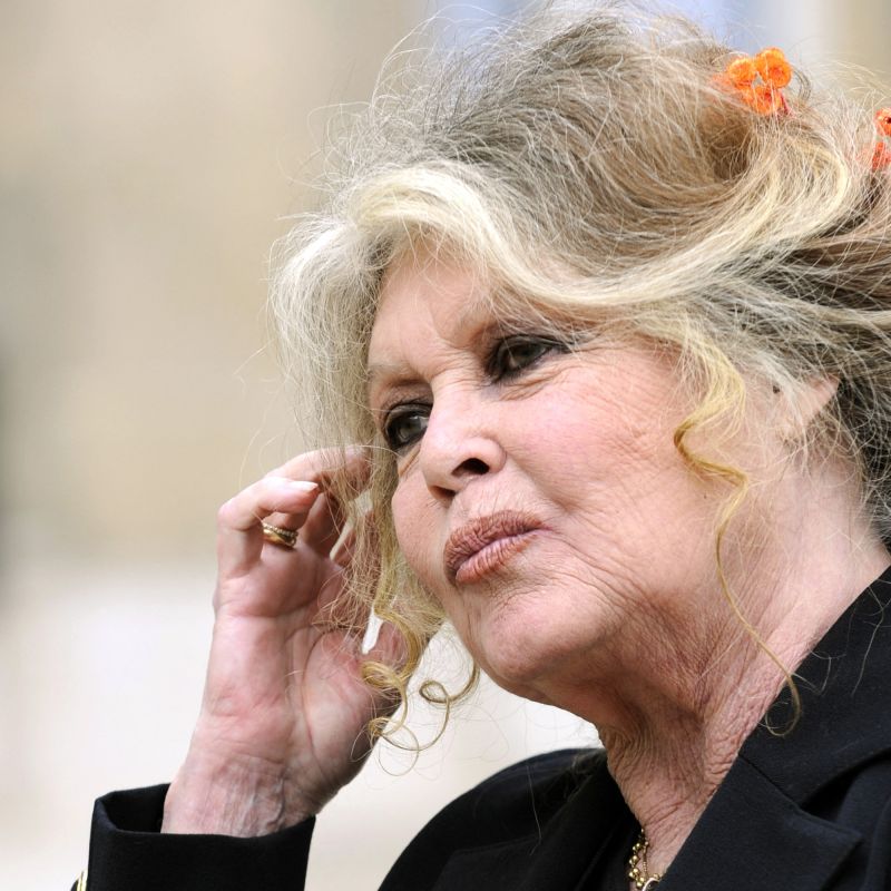 La controverse autour d'un hommage national à Brigitte Bardot