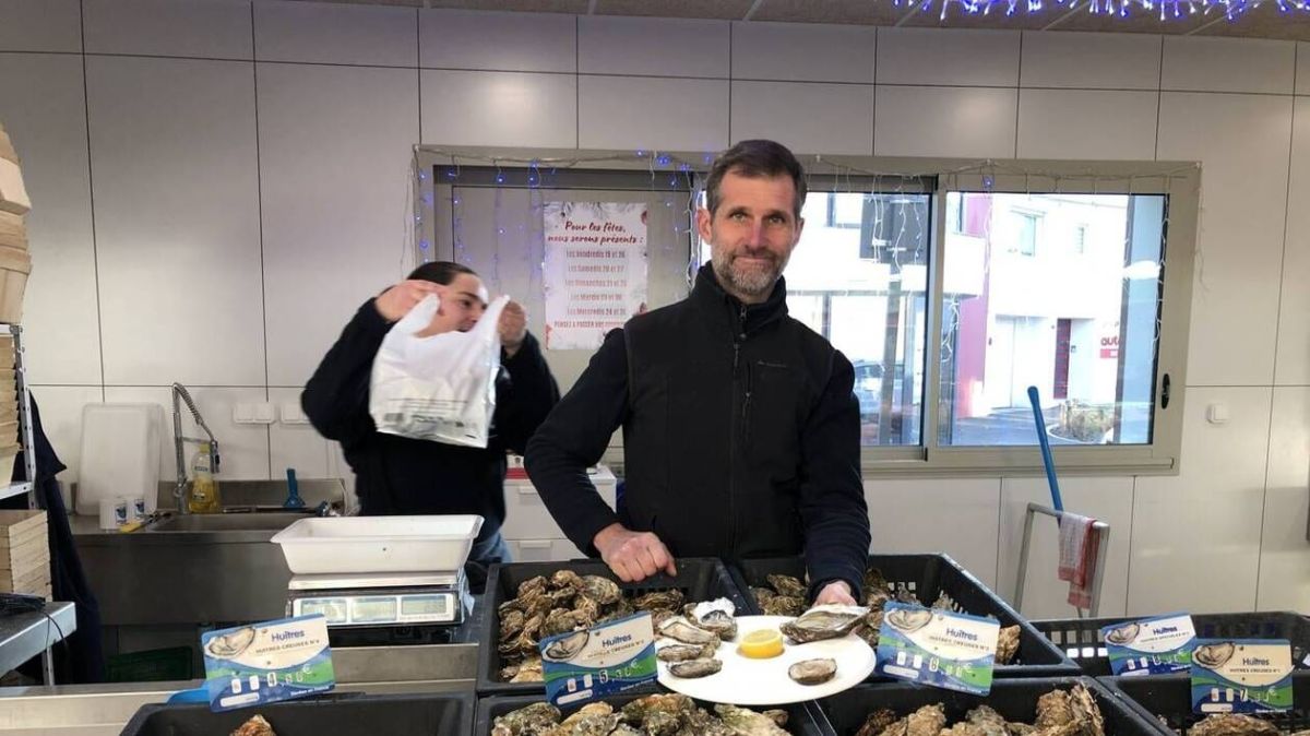 Huîtres : tout ce que vous devez savoir avant le réveillon