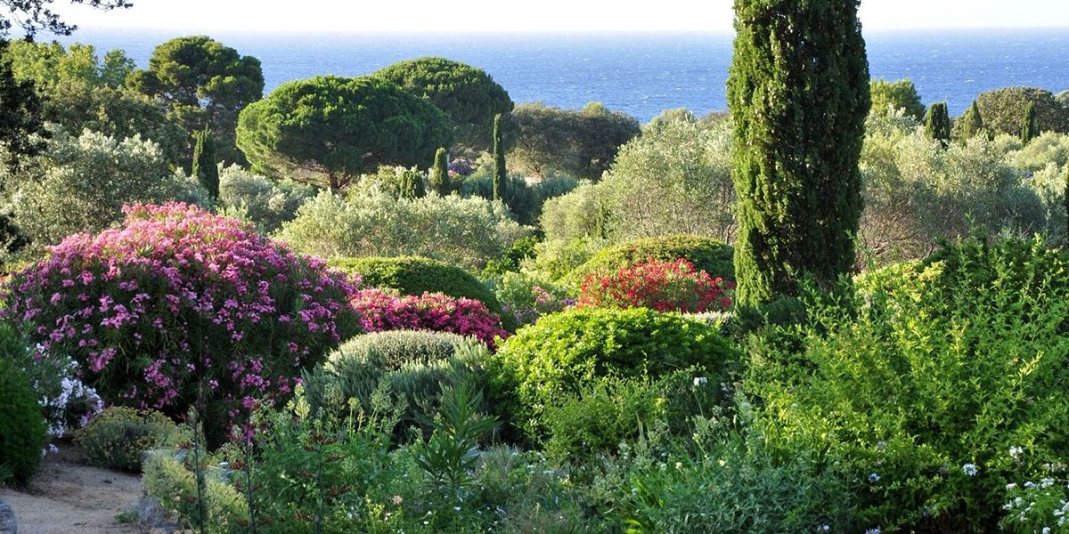 Le parc de Saleccia : un joyau naturel en Corse