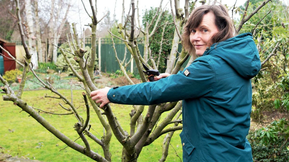 Préparez votre jardin pour le printemps : les essentiels de février