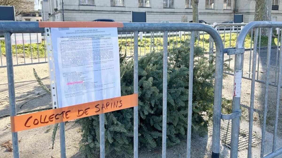 Que faire de son sapin de Noël ? Les solutions de recyclage dans le Saumurois
