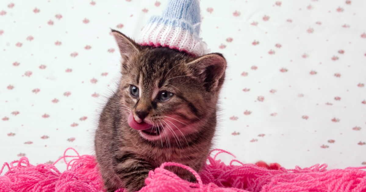 Le bonnet au tricot : un accessoire tendance