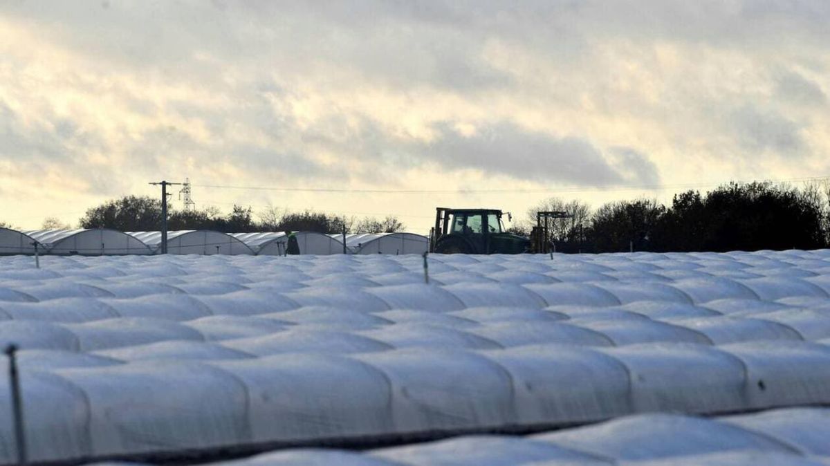 La tragédie d'un jeune apprenti : un accident fatal dans une exploitation agricole
