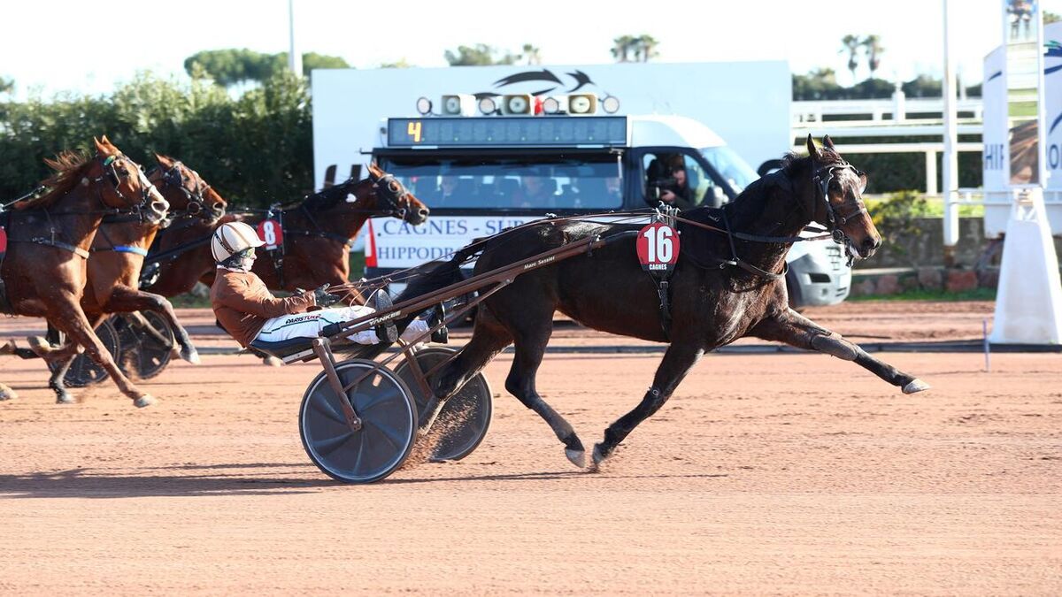 Harley Gema en tête : une victoire éclatante à Cagnes-sur-Mer
