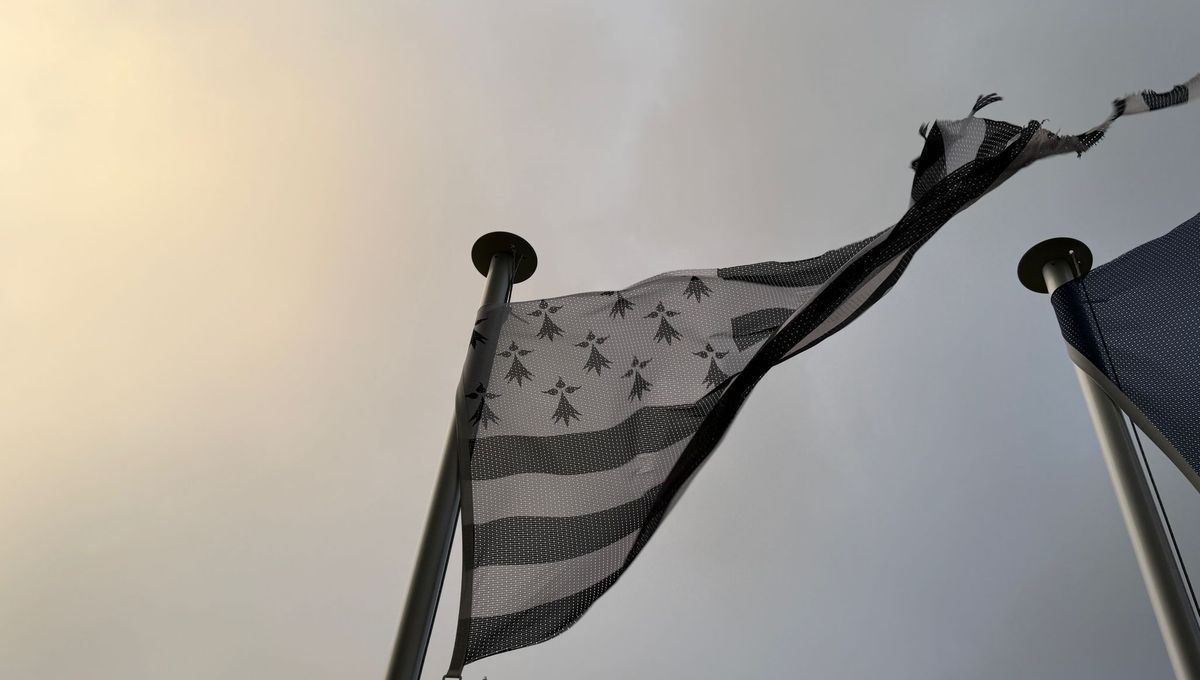Goretti : la Bretagne face à la tempête dévastatrice