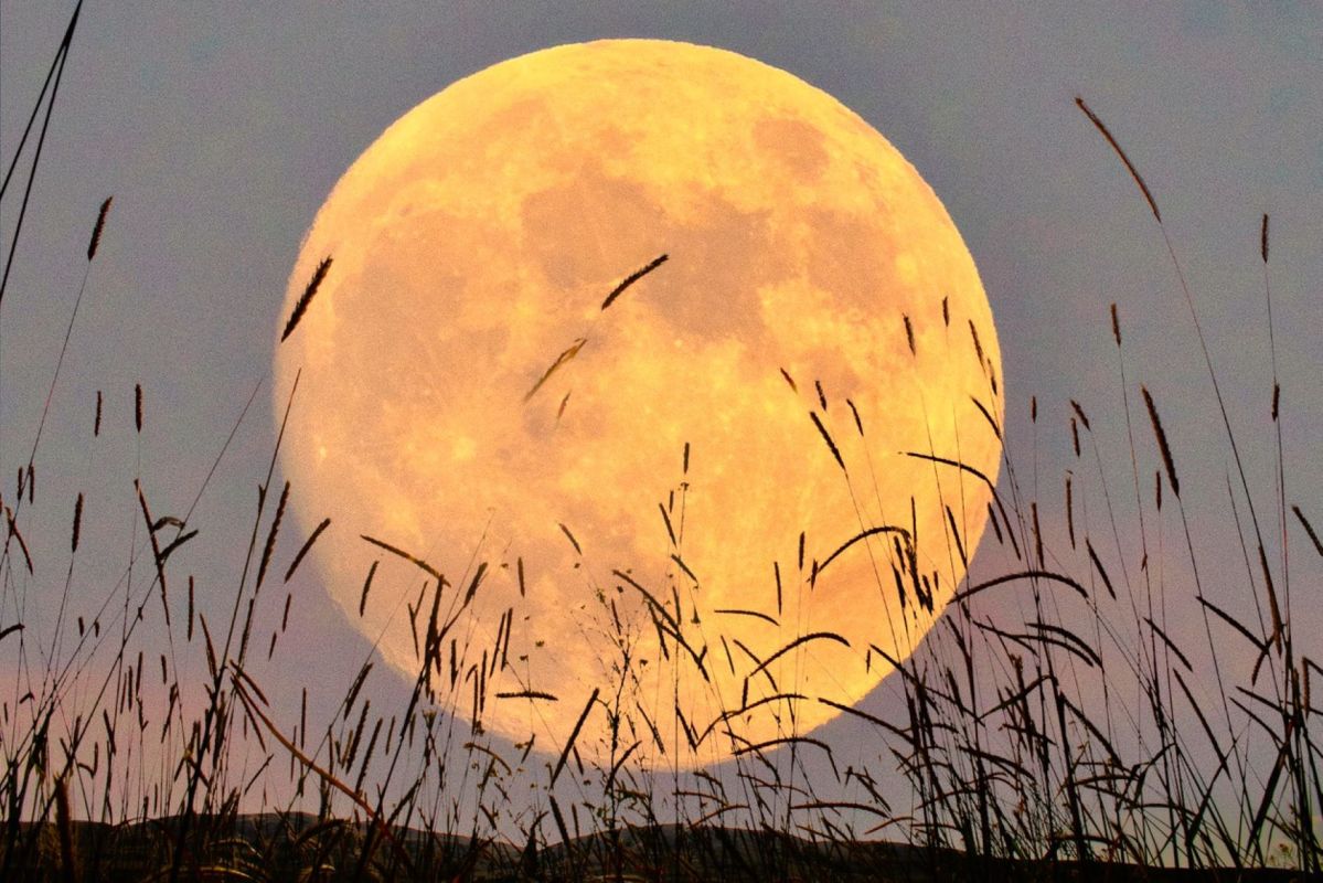 Lune rousse : réalités et risques pour vos plantations de saison