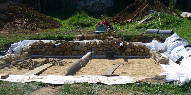 Comparaison entre phytoépuration et lagunage : tout ce qu'il faut savoir