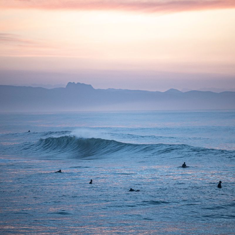 La bravoure des surfeurs californiens face à un désastre en mer