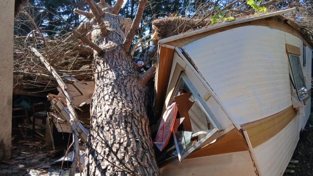 Yvette, 81 ans, en détresse après la tempête : la solidarité se mobilise