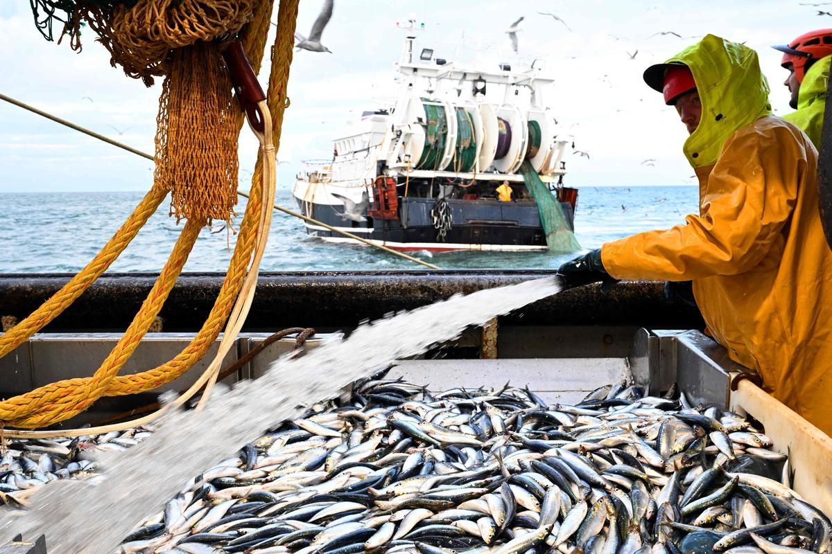 La pêche en péril face à la flambée des carburants : les acteurs appellent à l'aide