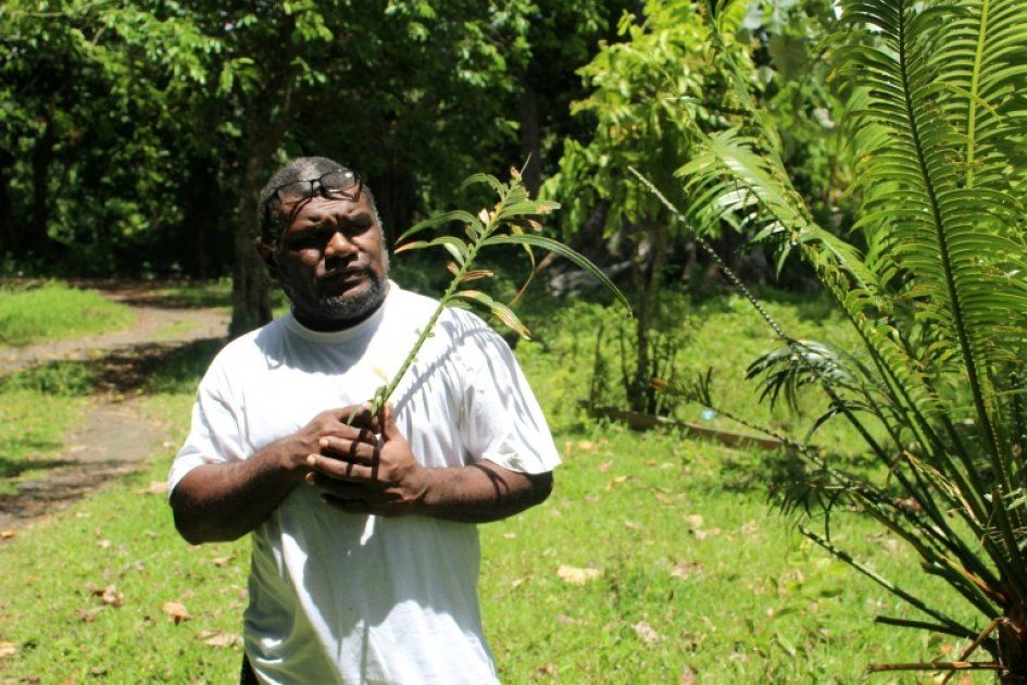 Une tradition sacrée pour sauver les forêts du Vanuatu