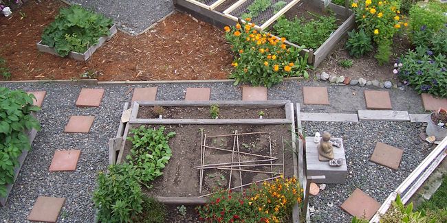 l'essor des potagers urbains : un phénomène en pleine croissance