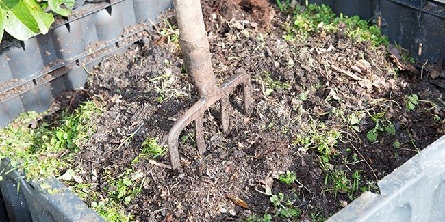 les défis du compostage : comment surmonter les obstacles