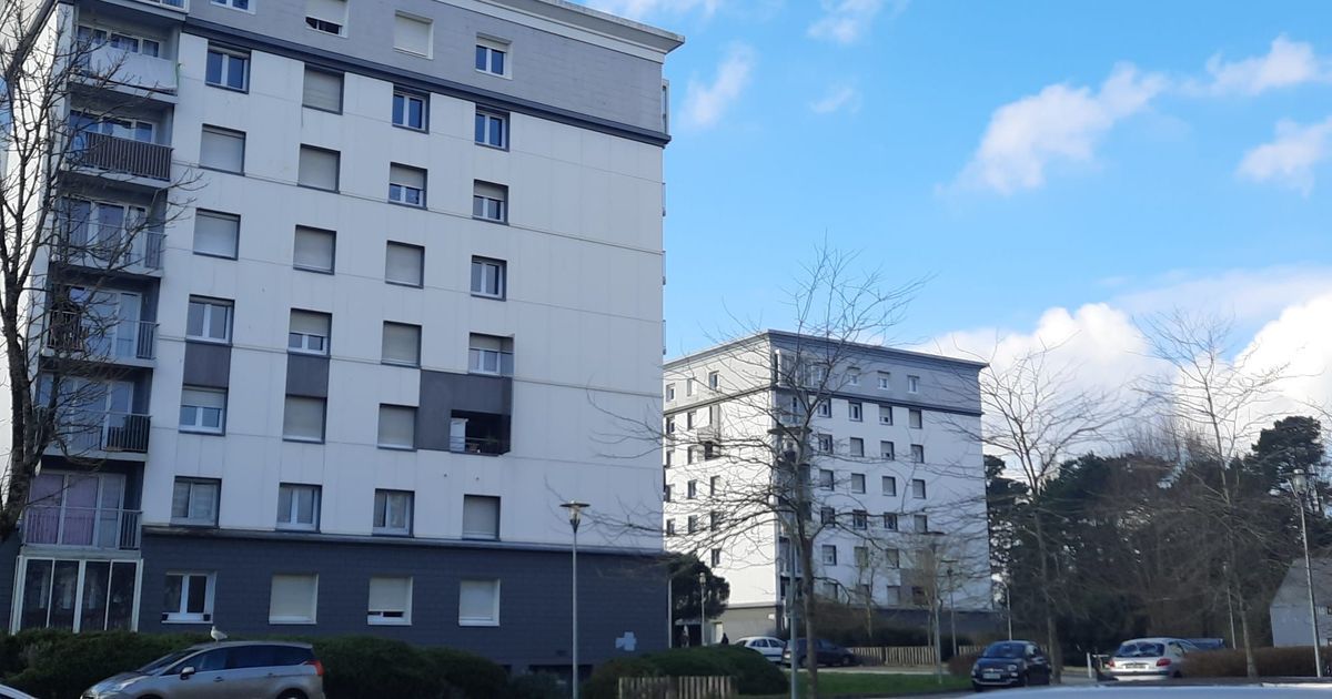 Saint-Nazaire : violence urbaine en plein quartier populaire