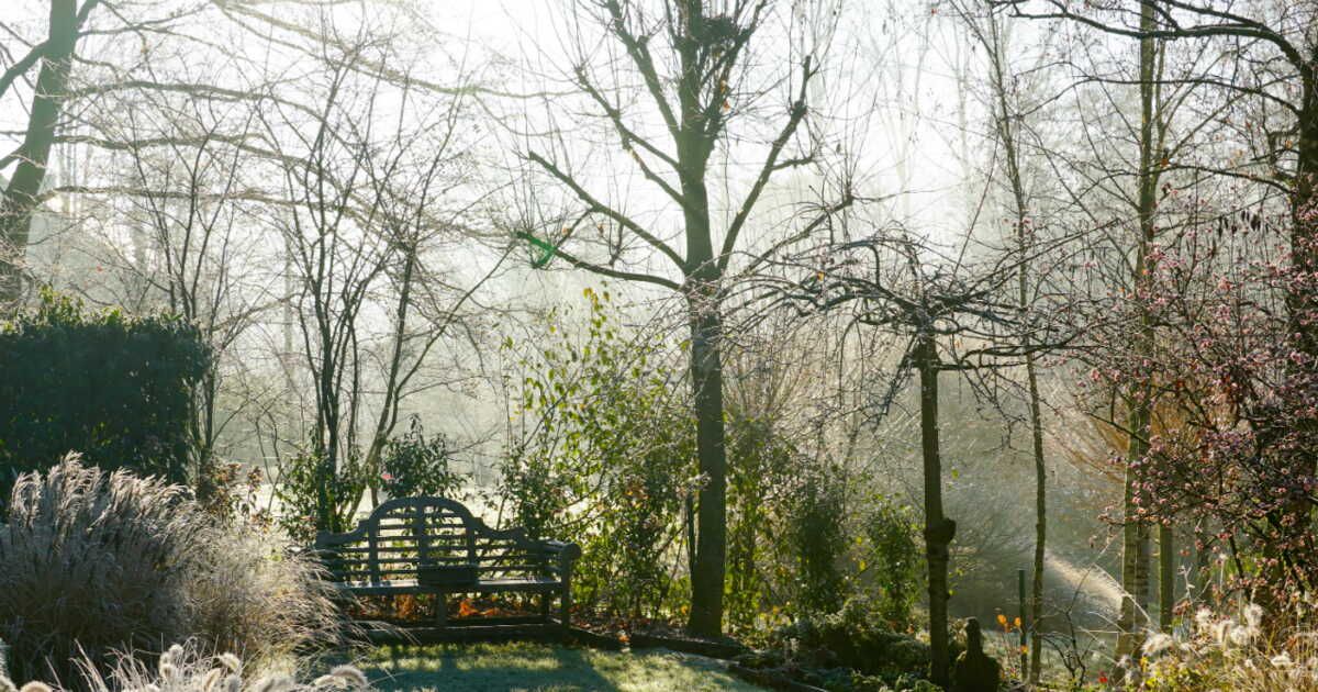 Préparez votre jardin pour l'hiver : conseils pour le protéger du froid