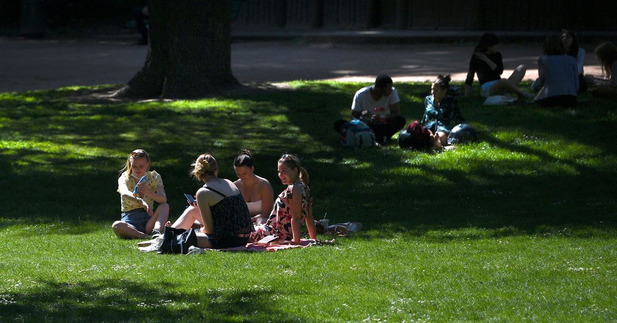 Un printemps presque estival : soleil et chaleur cette semaine