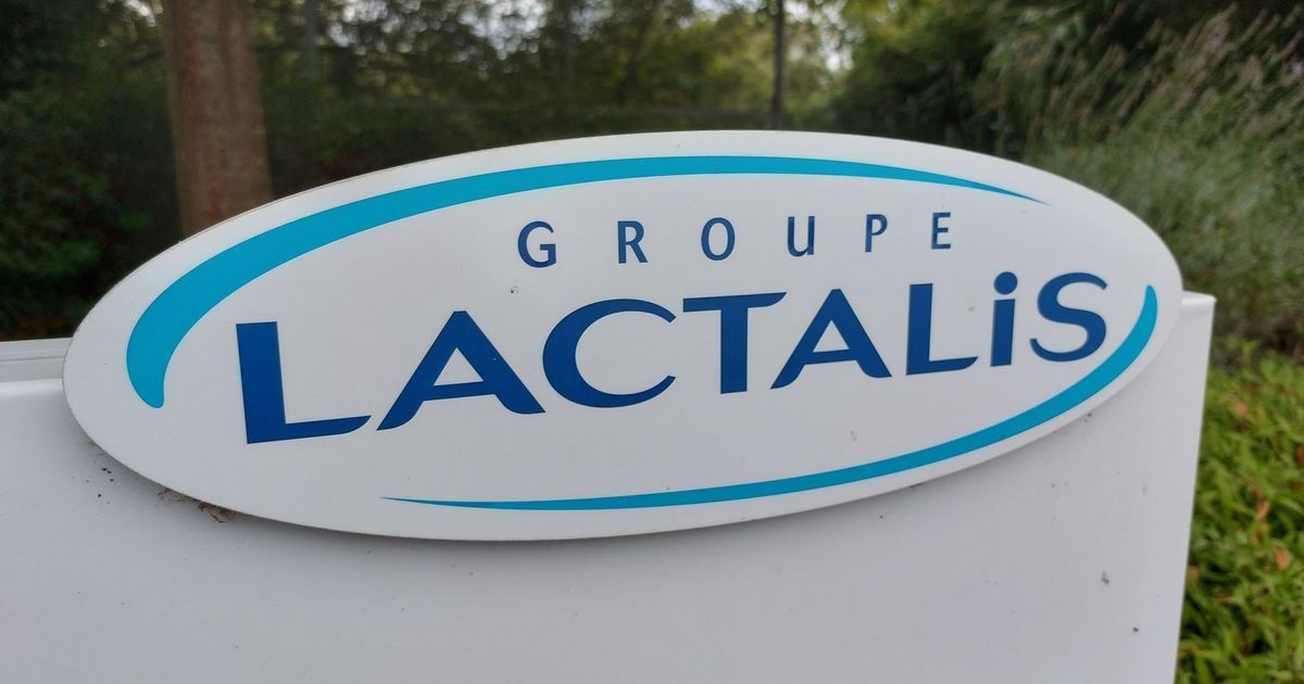 Lactalis sous pression : des avocats réclament justice pour les salariés