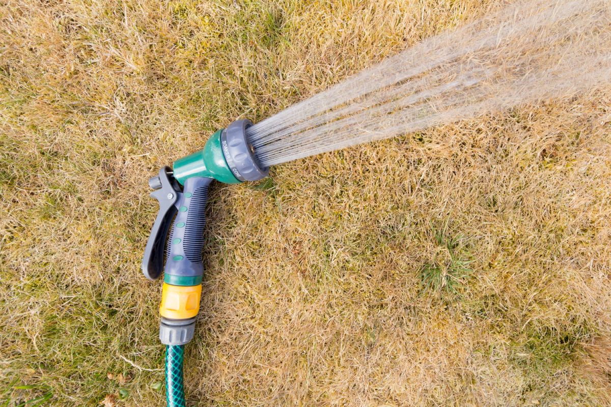 Arroser son jardin pendant la canicule