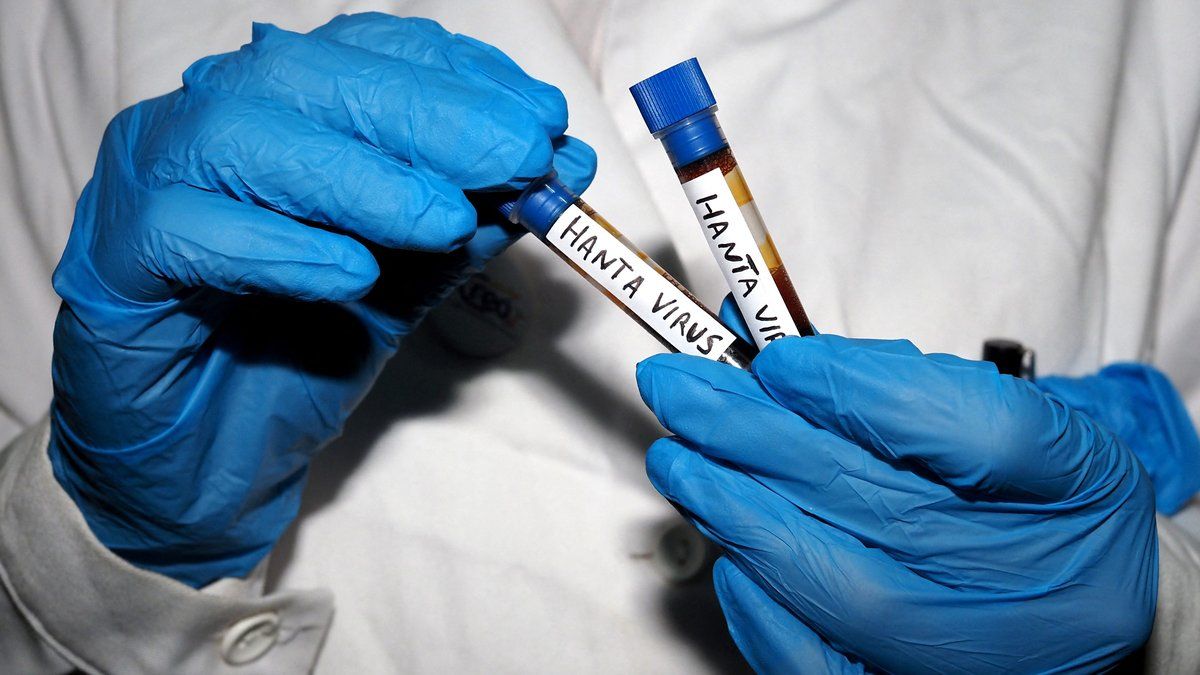 L’hantavirus, un danger sous-estimé ? Les éclairages d'Anne Goffard