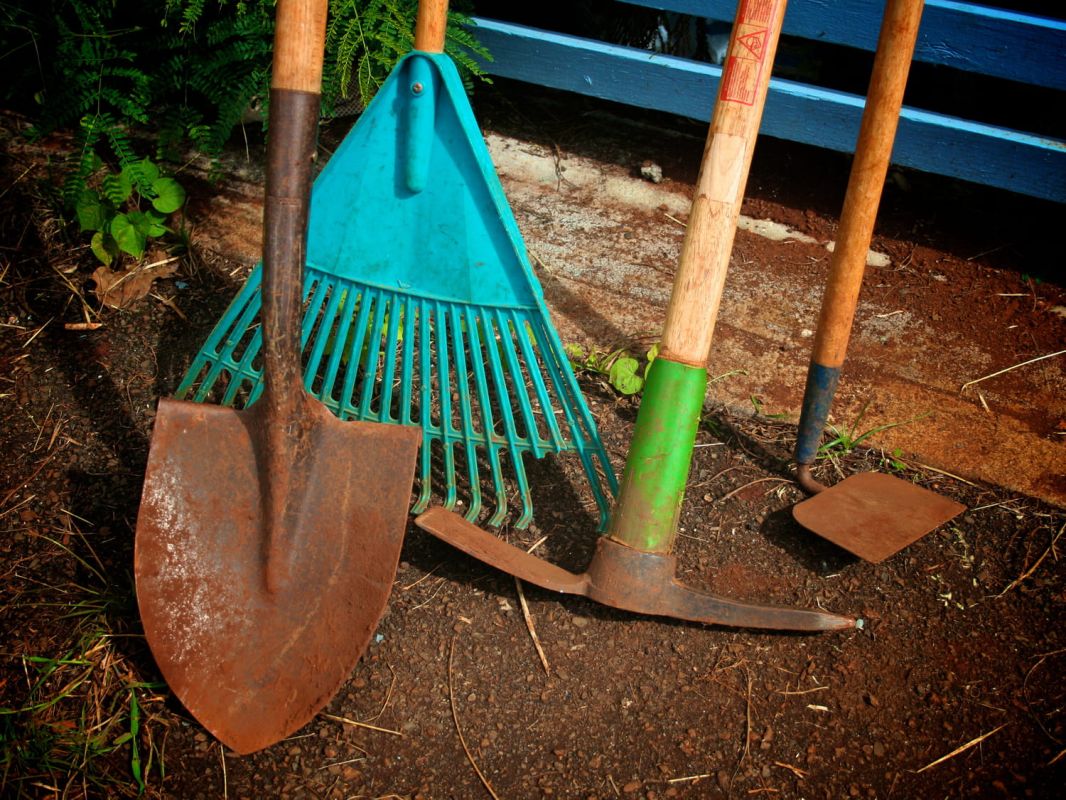Une méthode de jardinier pour prévenir la rouille des outils et les conserver en parfait état