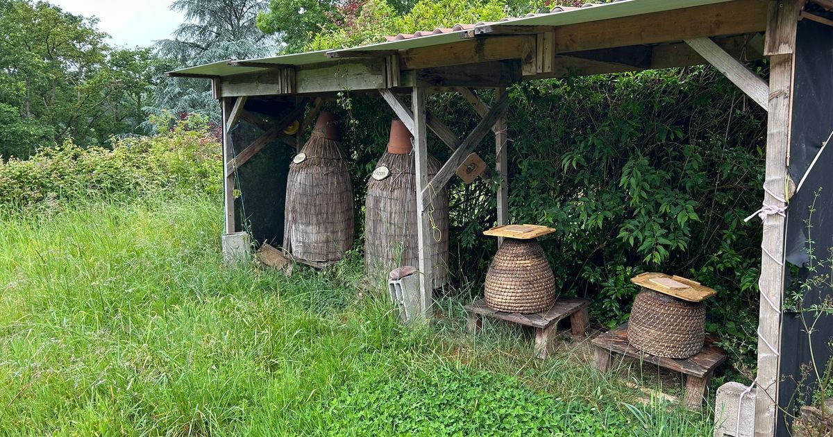 La Mayenne, trésor de traditions apicoles avec ses ruches médiévales