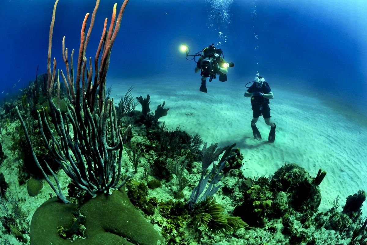tragédie sous-marine aux maldives : cinq plongeurs italiens perdent la vie en exploration