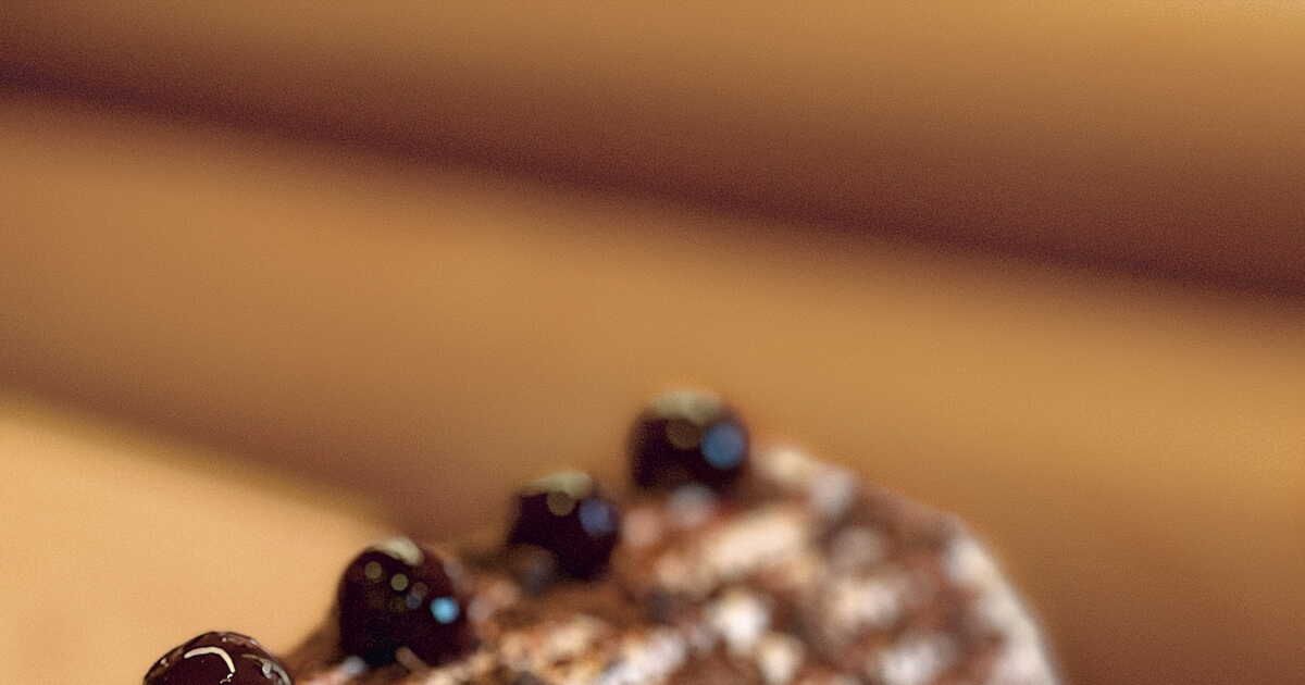 la bûche chocolat et amarena de cyril lignac, un délice de noël à réaliser
