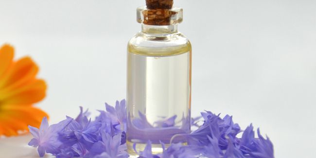Le bleuet : cette fleur aux mille et une vertus pour nos yeux
