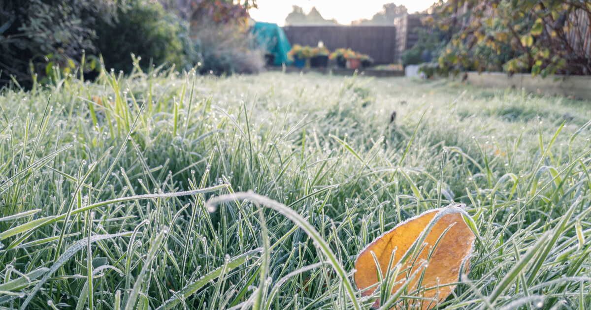 Entretenir sa pelouse en hiver : les clés pour un jardin impeccable
