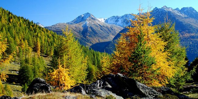 Des paysages variés : explorez les étages de végétation