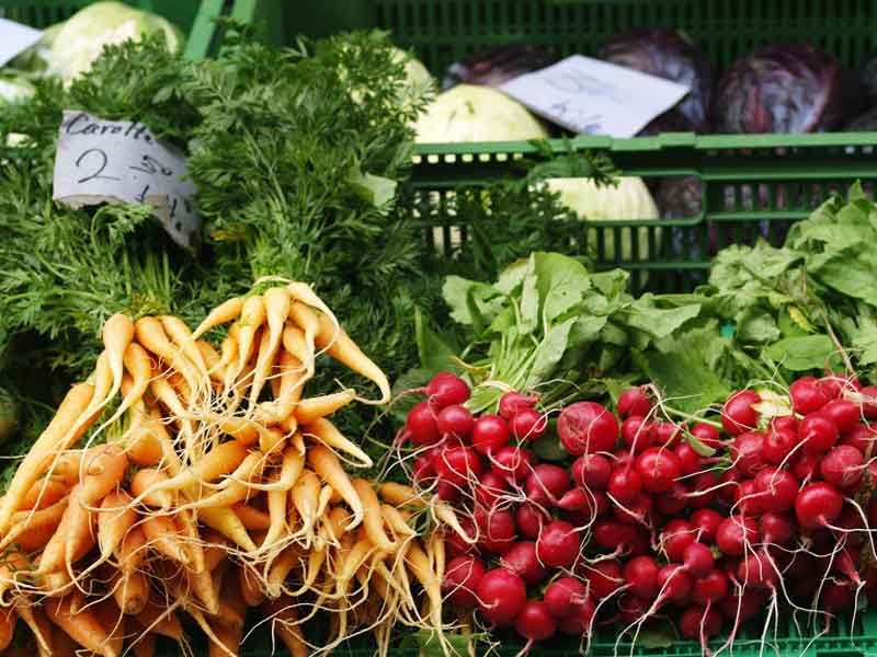 Redécouvrir les fanes : un trésor culinaire à ne pas négliger