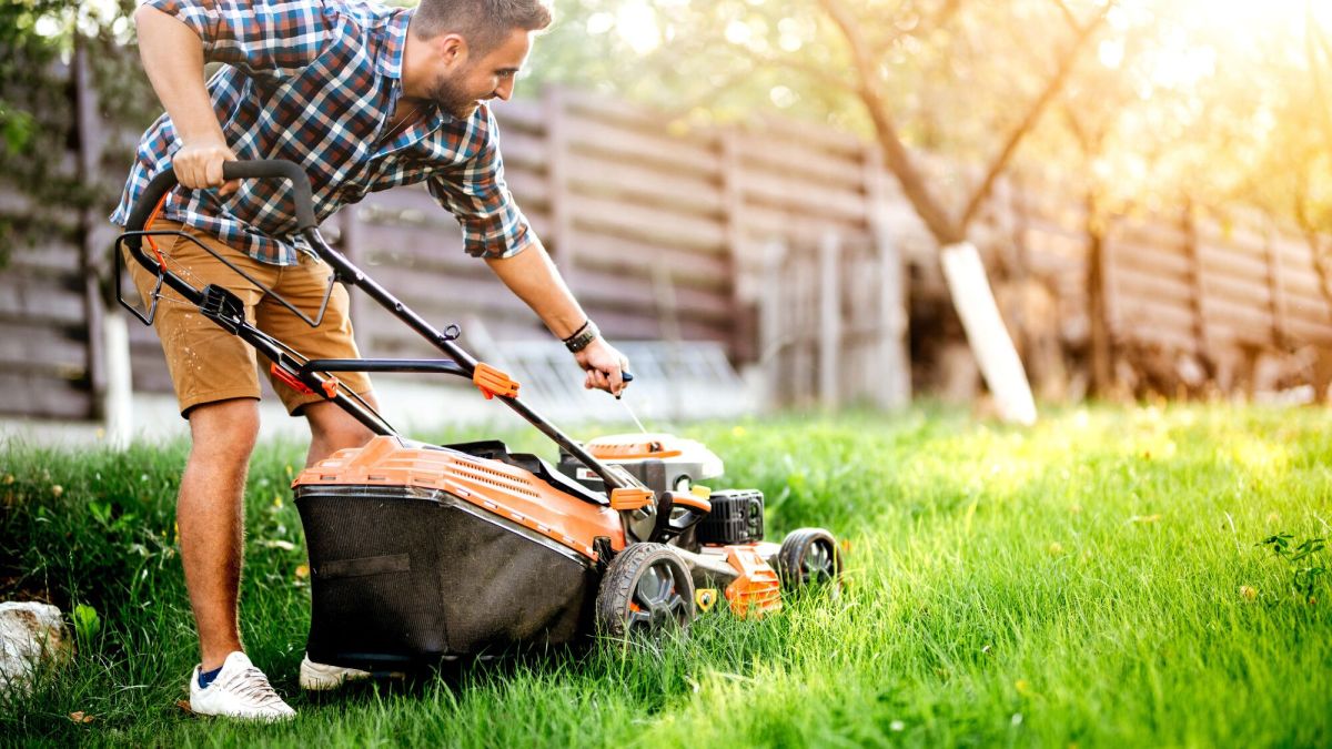 Louer du matériel de jardinage : les clés pour éviter les mauvaises surprises